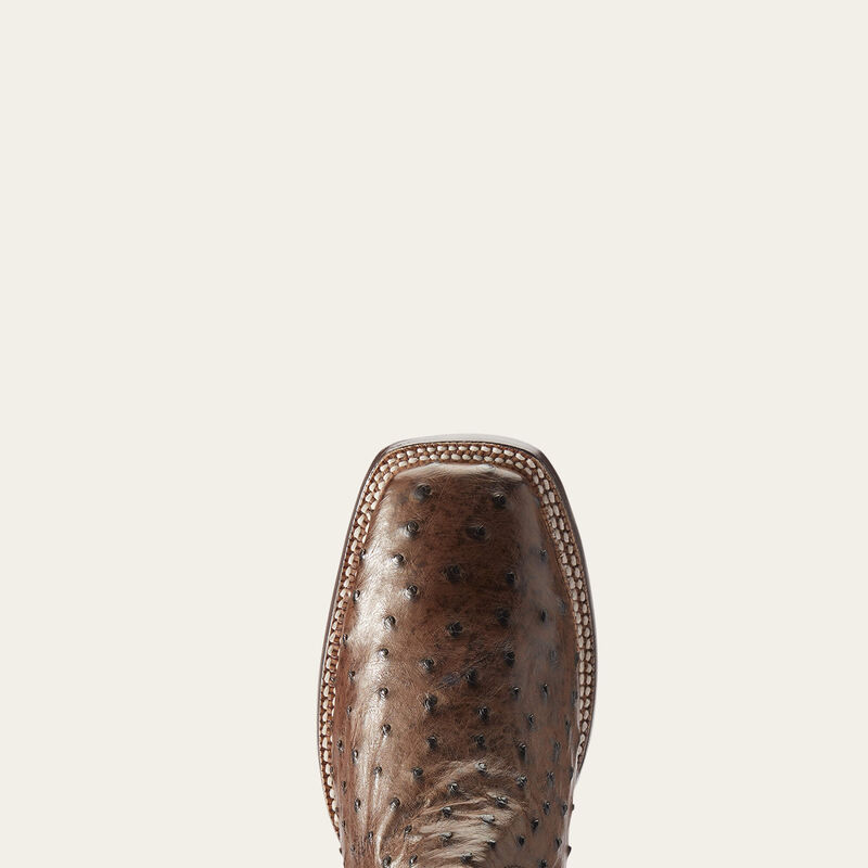 Ariat Men's Gallup Ostrich Western Boot #10034051 * Mocha Full Quill