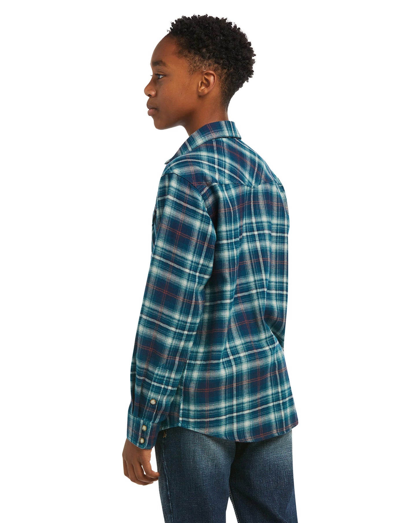 ariat blue plaid shirt back