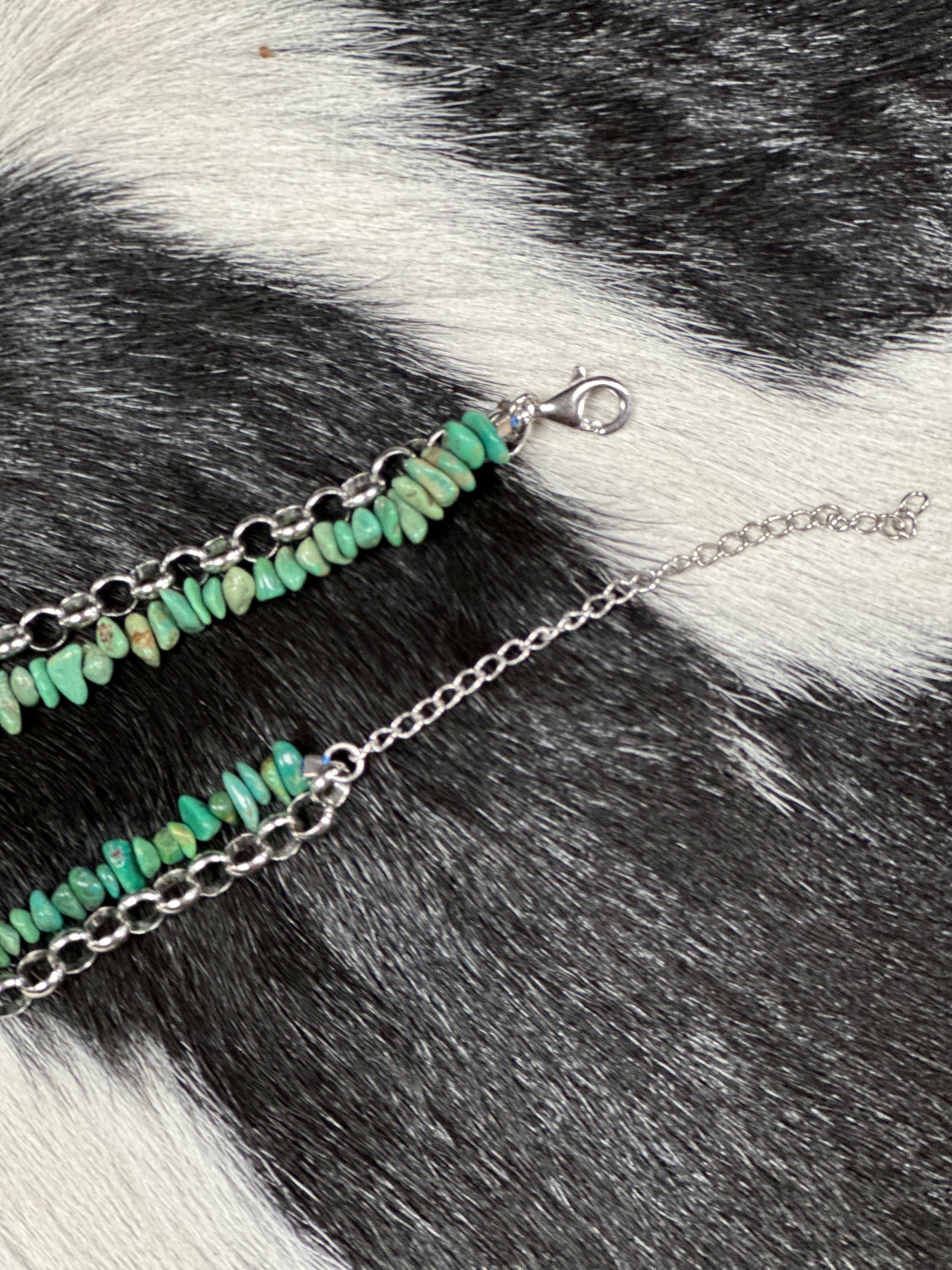 Three(3)inch Necklace Extension
