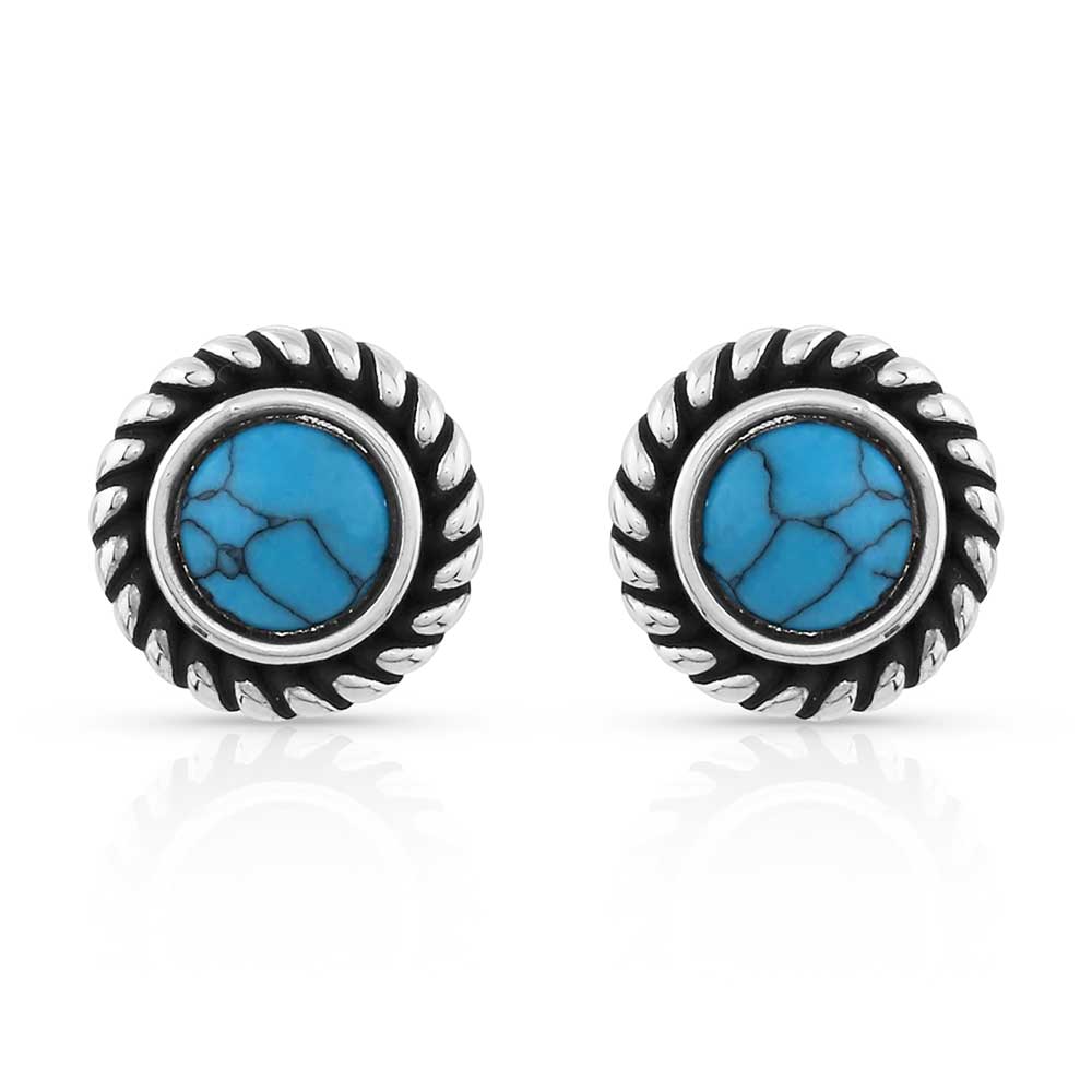 Dueling Moons Studded Turquoise Earrings ER5131