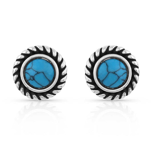 Dueling Moons Studded Turquoise Earrings ER5131